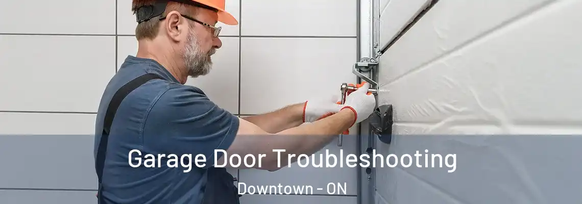 Garage Door Troubleshooting Downtown - ON
