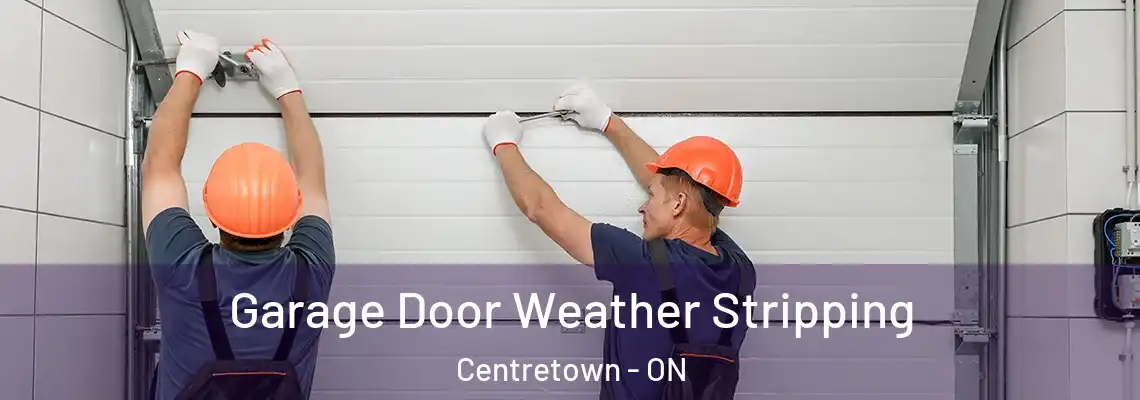 Garage Door Weather Stripping Centretown - ON