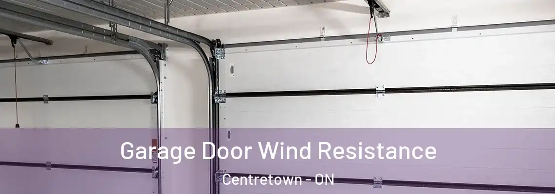 Garage Door Wind Resistance Centretown - ON