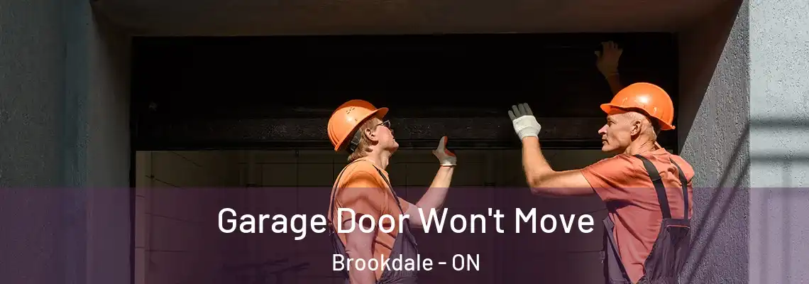 Garage Door Won't Move Brookdale - ON