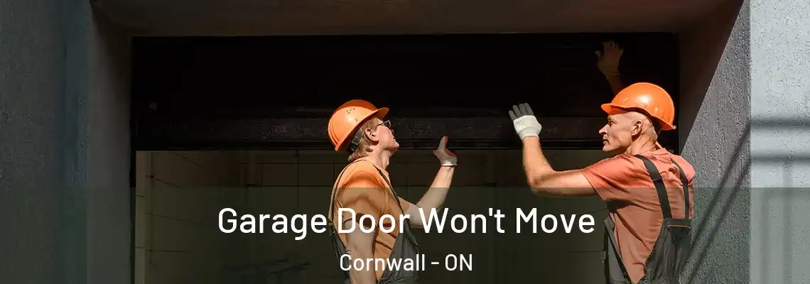 Garage Door Won't Move Cornwall - ON