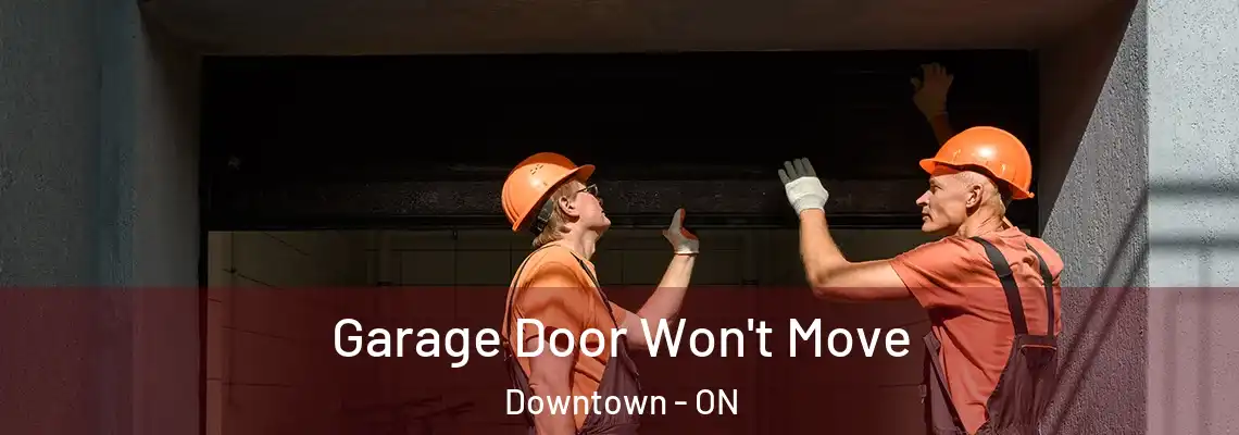 Garage Door Won't Move Downtown - ON