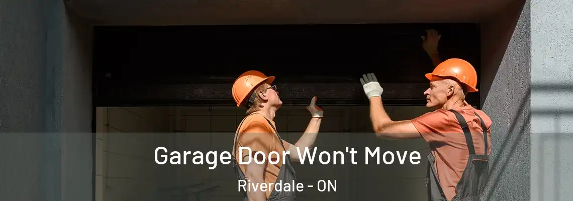 Garage Door Won't Move Riverdale - ON