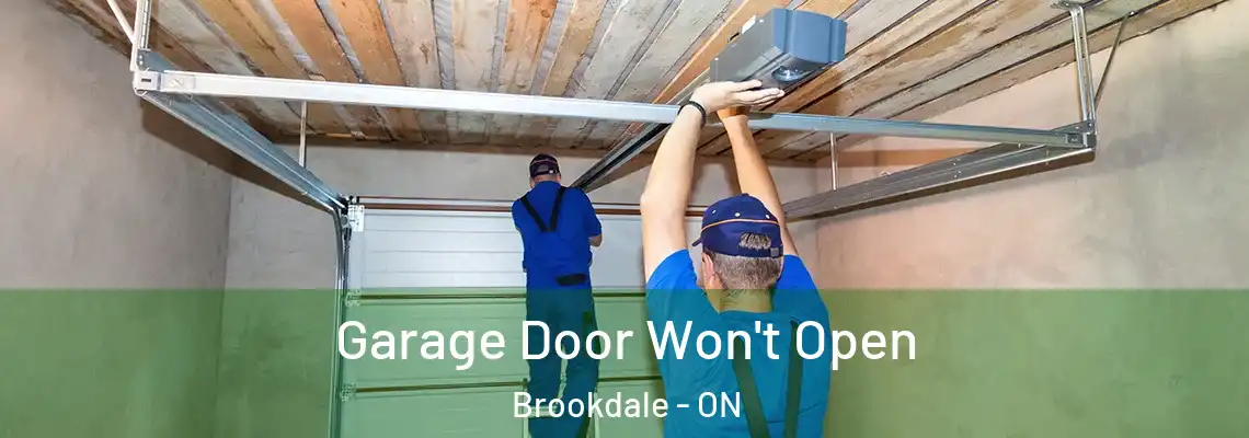 Garage Door Won't Open Brookdale - ON
