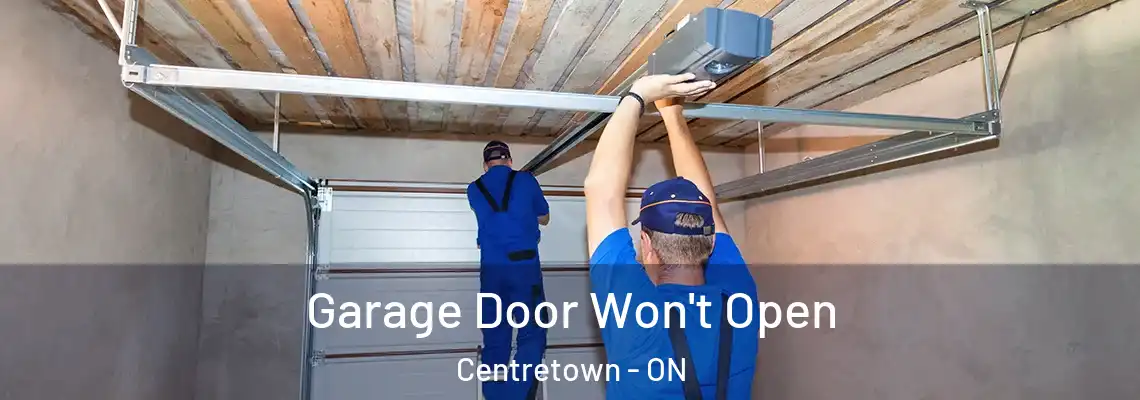 Garage Door Won't Open Centretown - ON