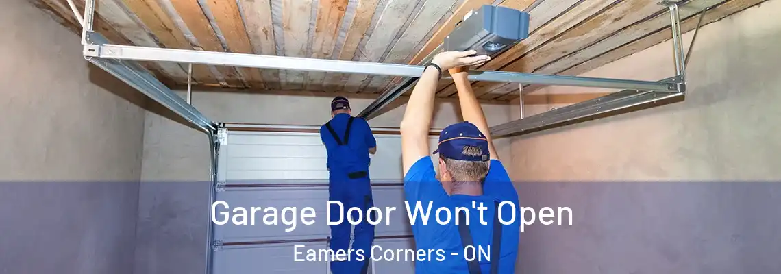 Garage Door Won't Open Eamers Corners - ON