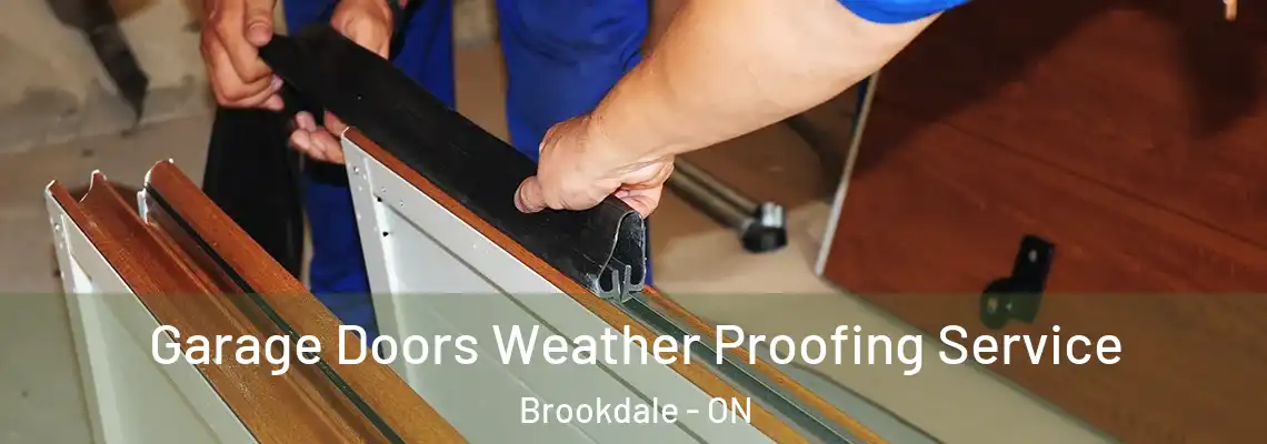 Garage Doors Weather Proofing Service Brookdale - ON