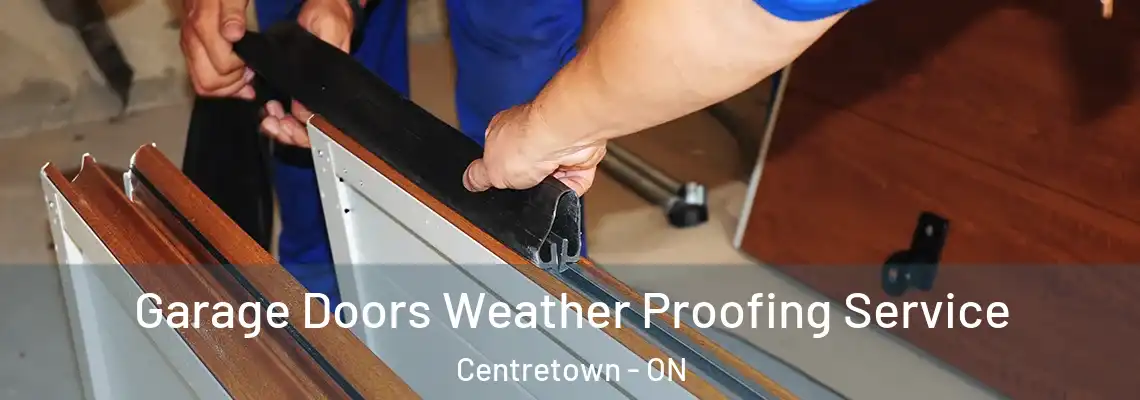 Garage Doors Weather Proofing Service Centretown - ON
