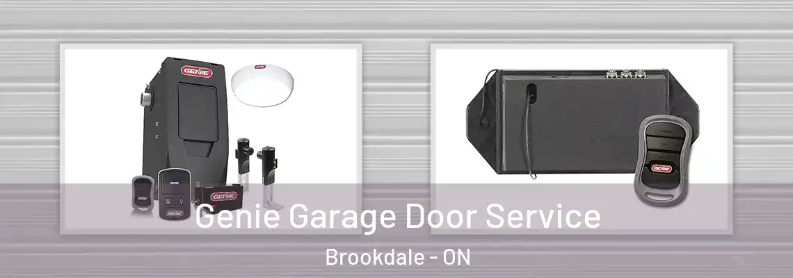 Genie Garage Door Service Brookdale - ON