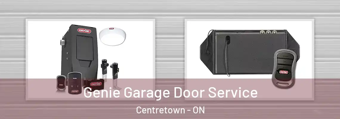 Genie Garage Door Service Centretown - ON