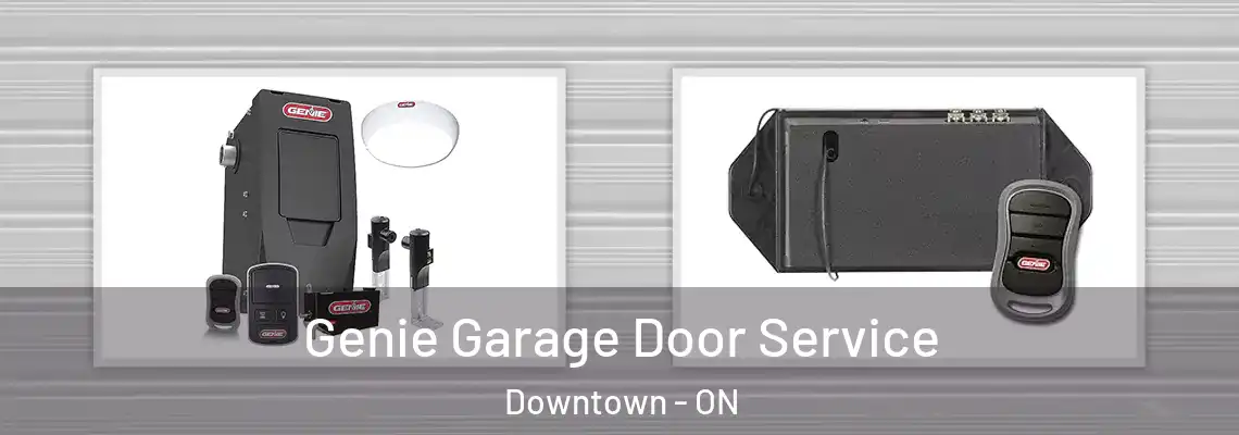 Genie Garage Door Service Downtown - ON