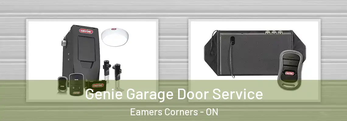 Genie Garage Door Service Eamers Corners - ON