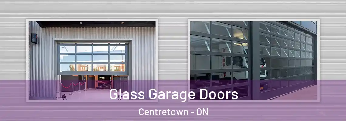 Glass Garage Doors Centretown - ON