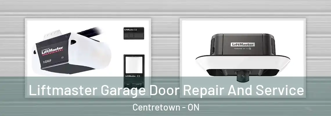 Liftmaster Garage Door Repair And Service Centretown - ON