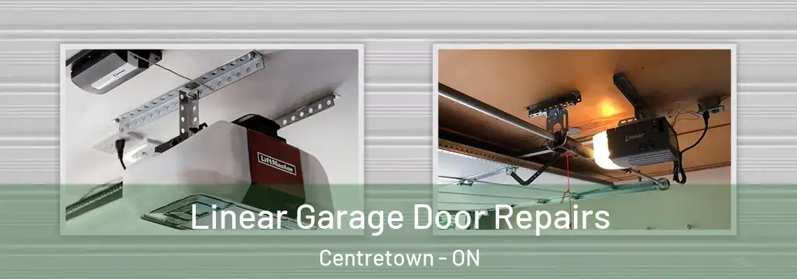 Linear Garage Door Repairs Centretown - ON
