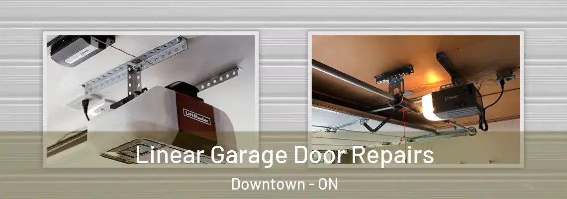 Linear Garage Door Repairs Downtown - ON
