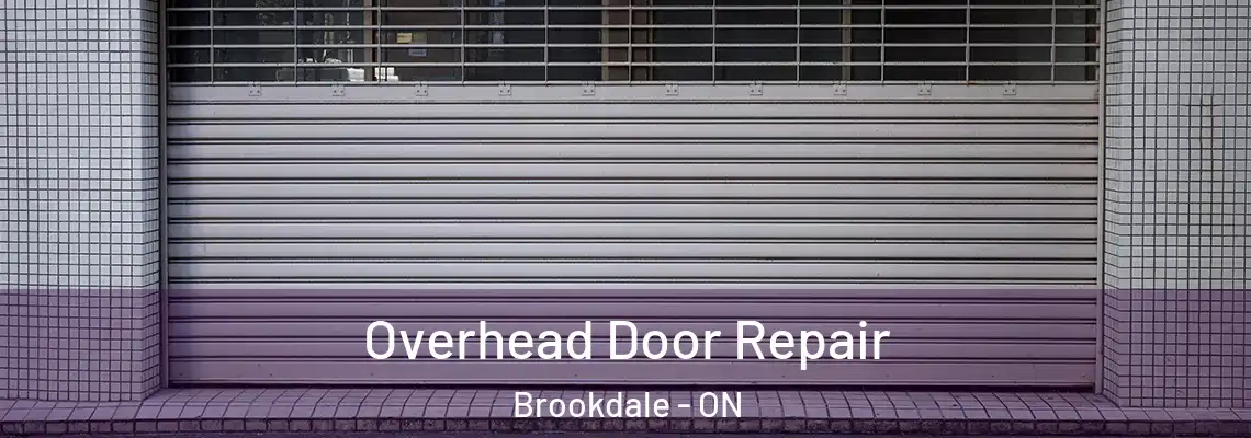 Overhead Door Repair Brookdale - ON