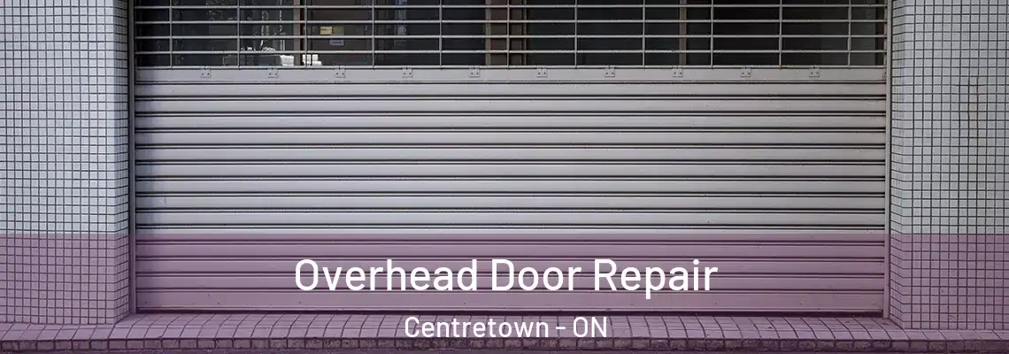 Overhead Door Repair Centretown - ON