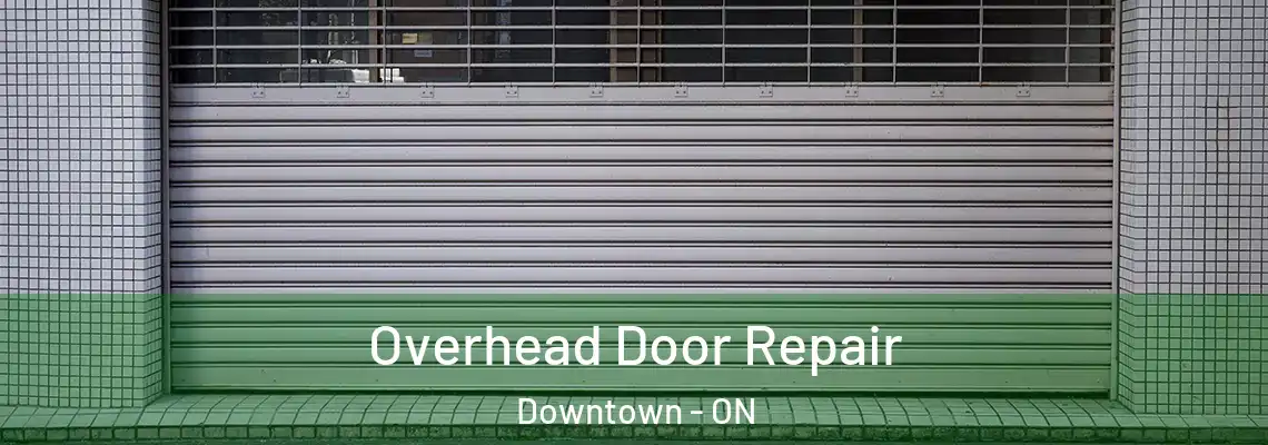 Overhead Door Repair Downtown - ON