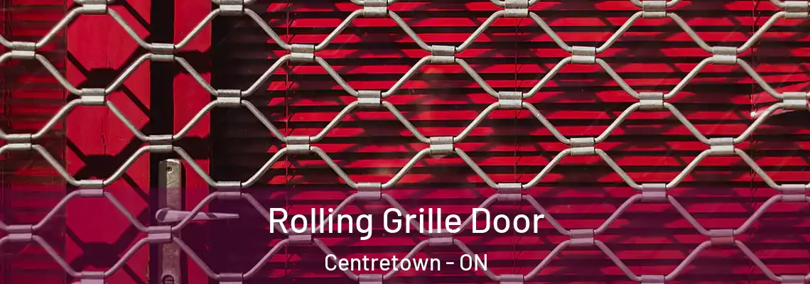 Rolling Grille Door Centretown - ON