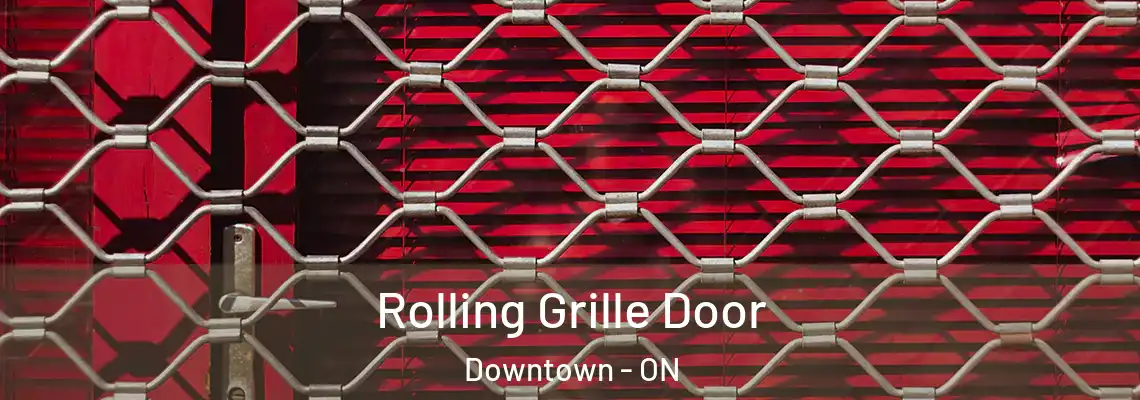 Rolling Grille Door Downtown - ON