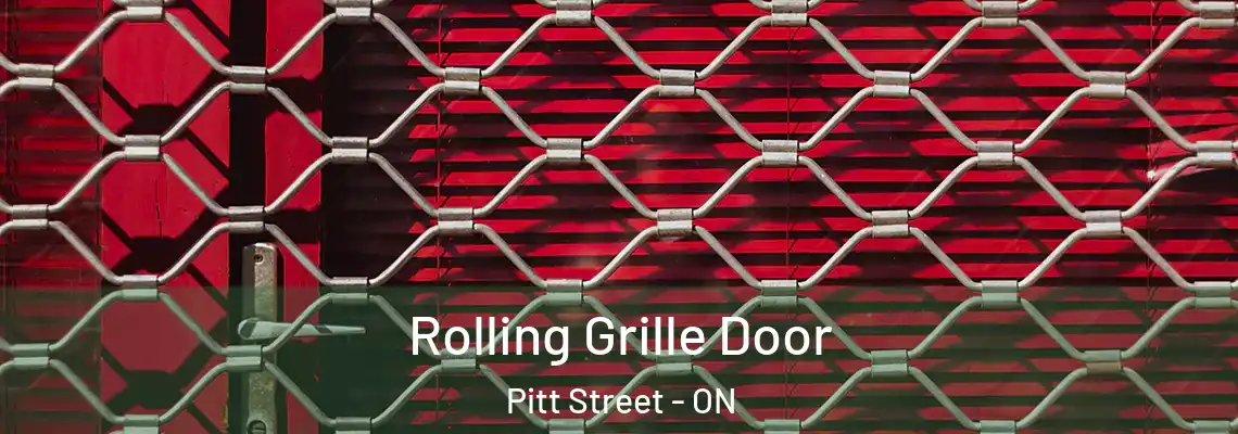 Rolling Grille Door Pitt Street - ON