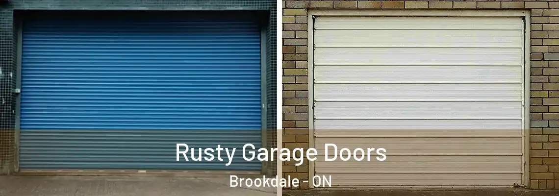 Rusty Garage Doors Brookdale - ON