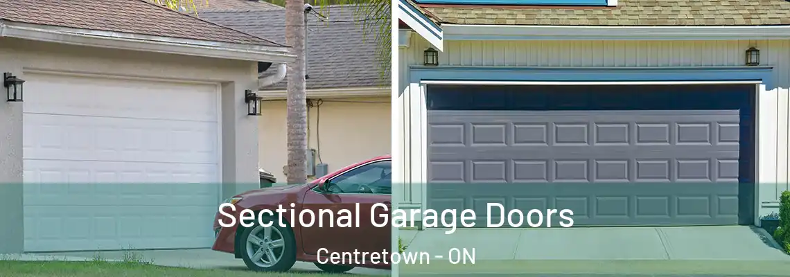 Sectional Garage Doors Centretown - ON