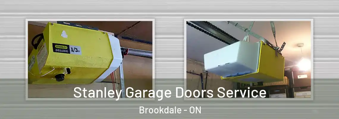 Stanley Garage Doors Service Brookdale - ON